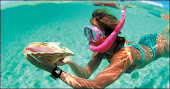 Snorkel en Turcos y Caicos