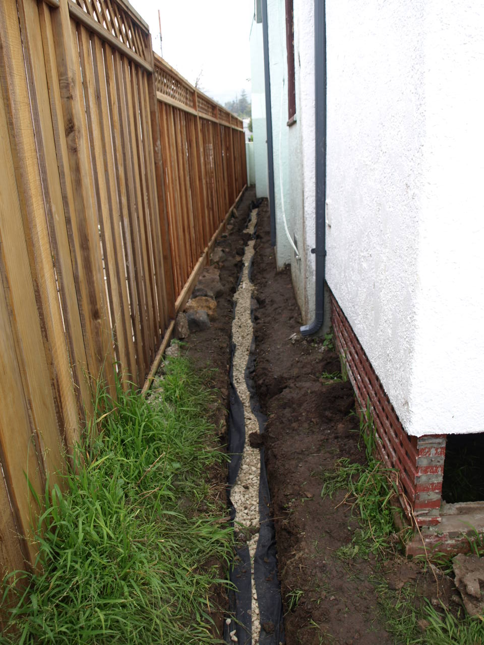 The Saga of the Backyard Dirt