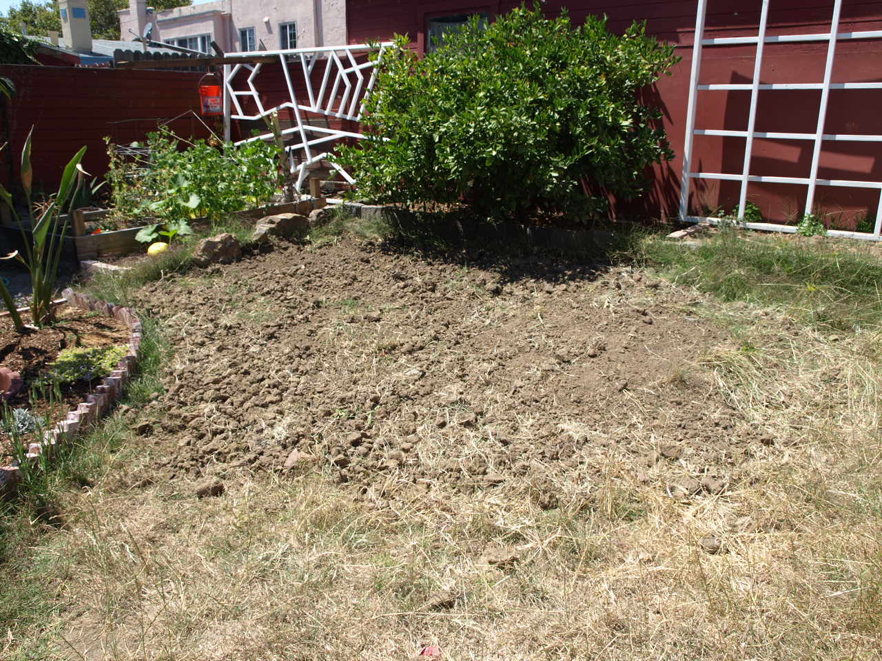 The Saga of the Backyard Dirt