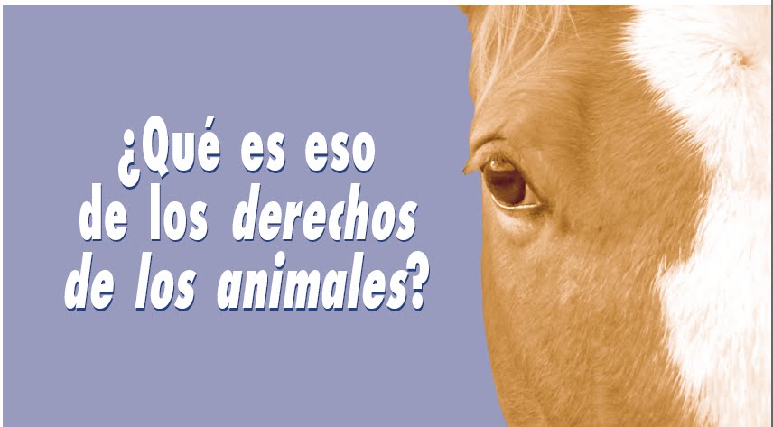 ¿Qué es eso de los Derechos de los Animales?