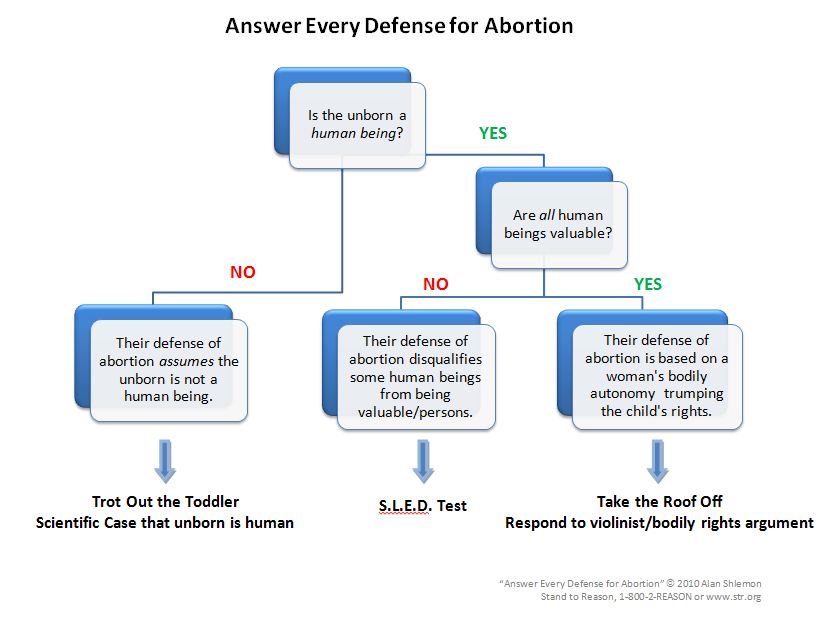 argumentative essay on abortion rights argumentative essay on abortion rights