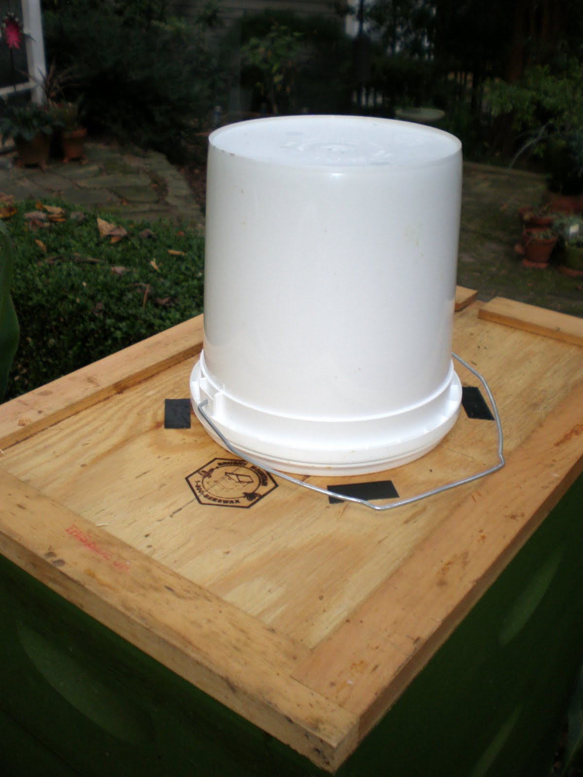 bee surprised 1gal pail feeder bee surprised 1gal pail feeder