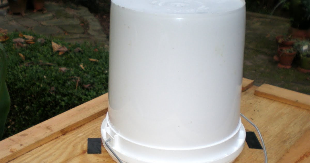 bee surprised 1gal pail feeder