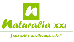 Naturalia XXI