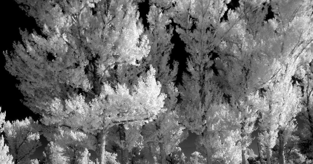 Our world between 650nm850nm First experience with IR photography