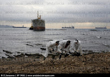 hundimiento del prestige