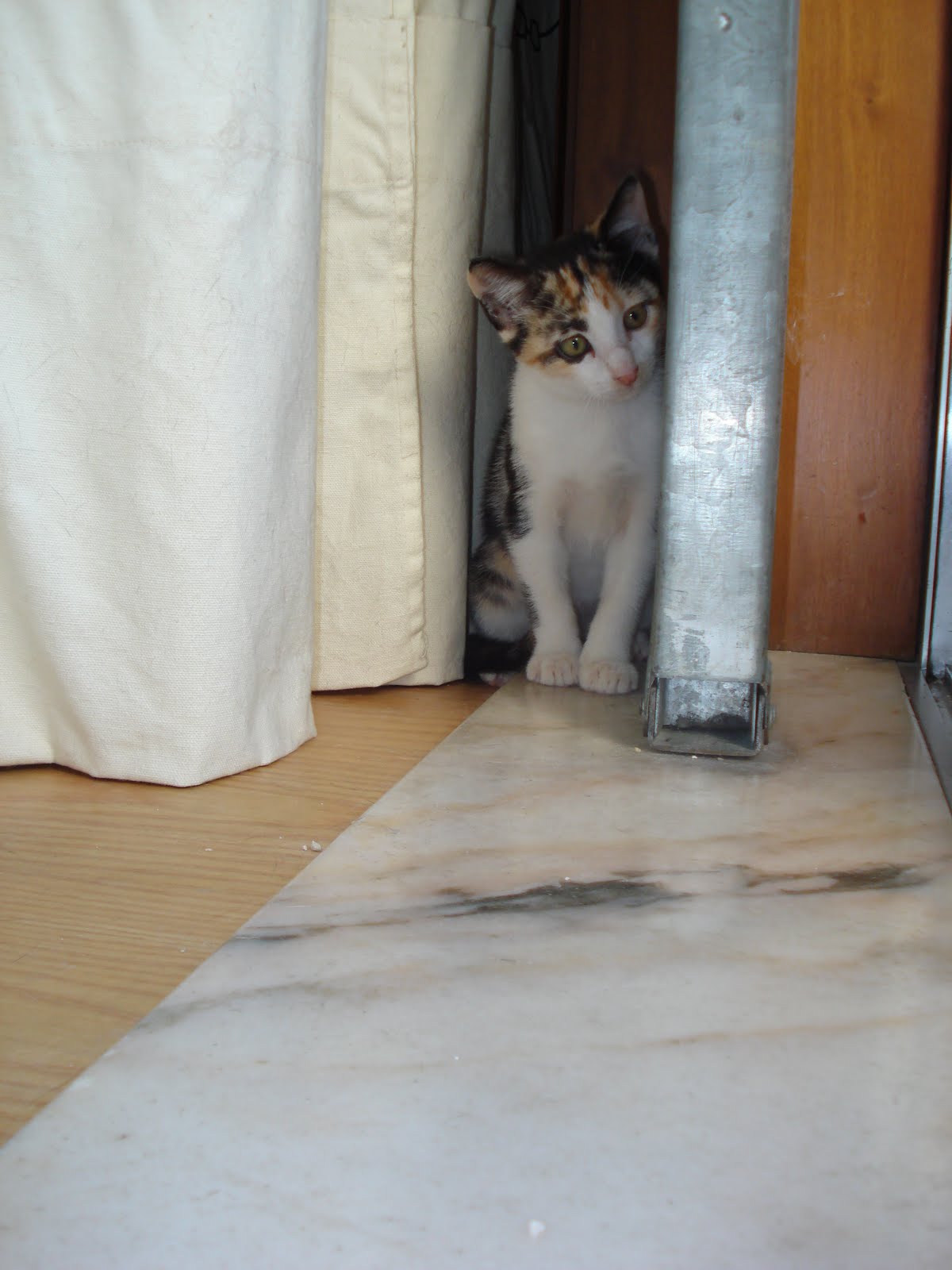 [DSC07050.JPG]
