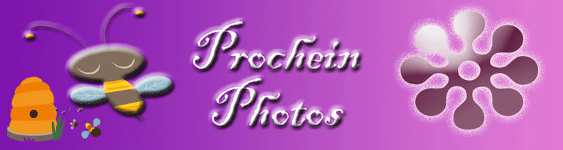 Prochein Photos