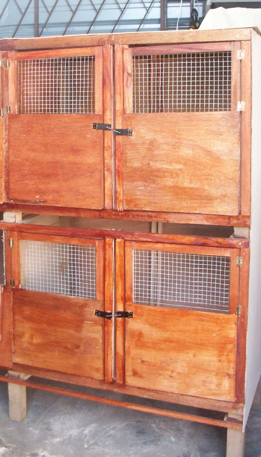 Reban Serama