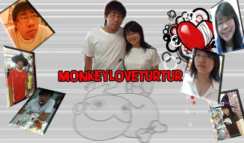 monkey love turtur