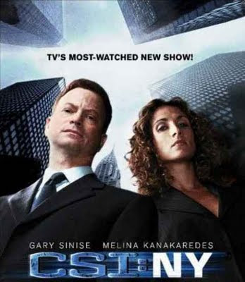 Watch CSI NY Season 6 Episode 17