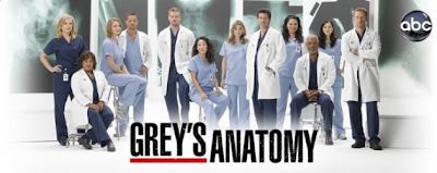 Watch Grey's Anatomy Season 6 Episode 17
