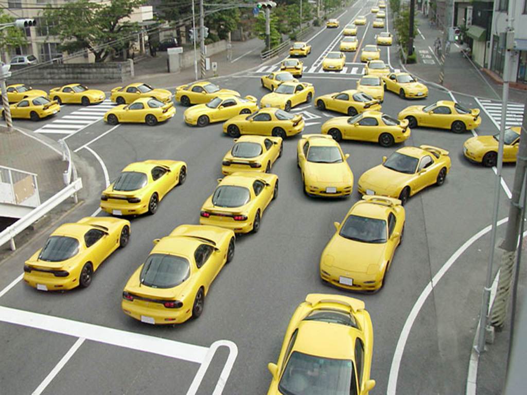[yellow7severyw3cc.jpg]
