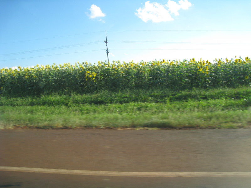 [IMG_3057.JPG]