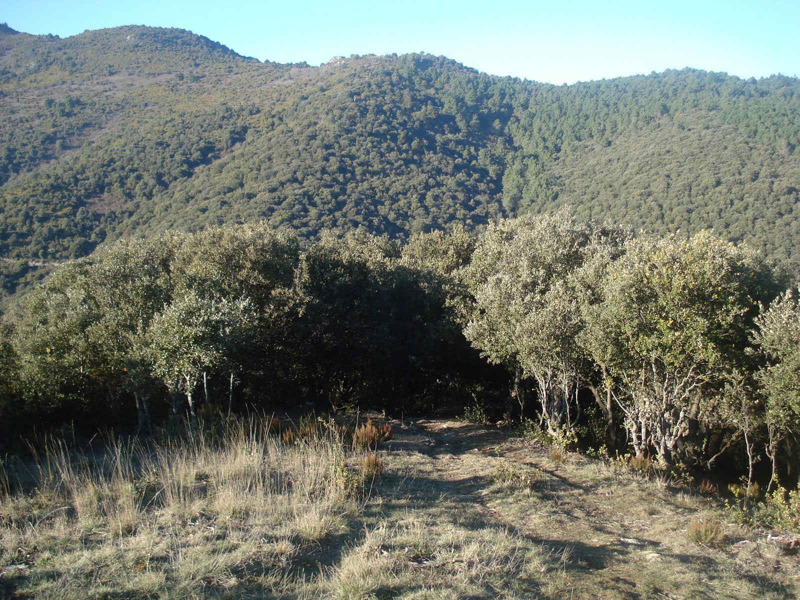 [DSC04387.JPG]