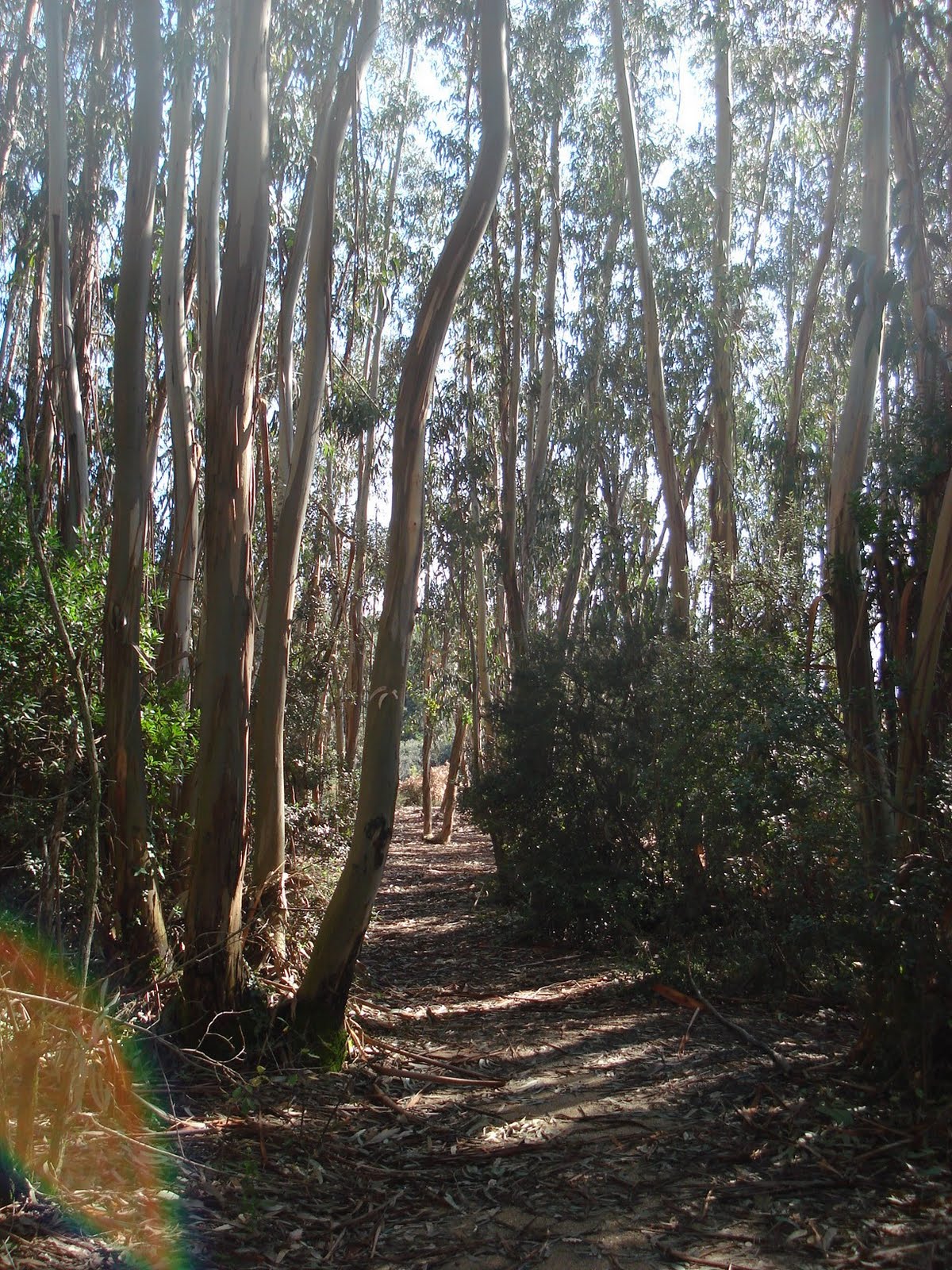 [DSC04617.JPG]