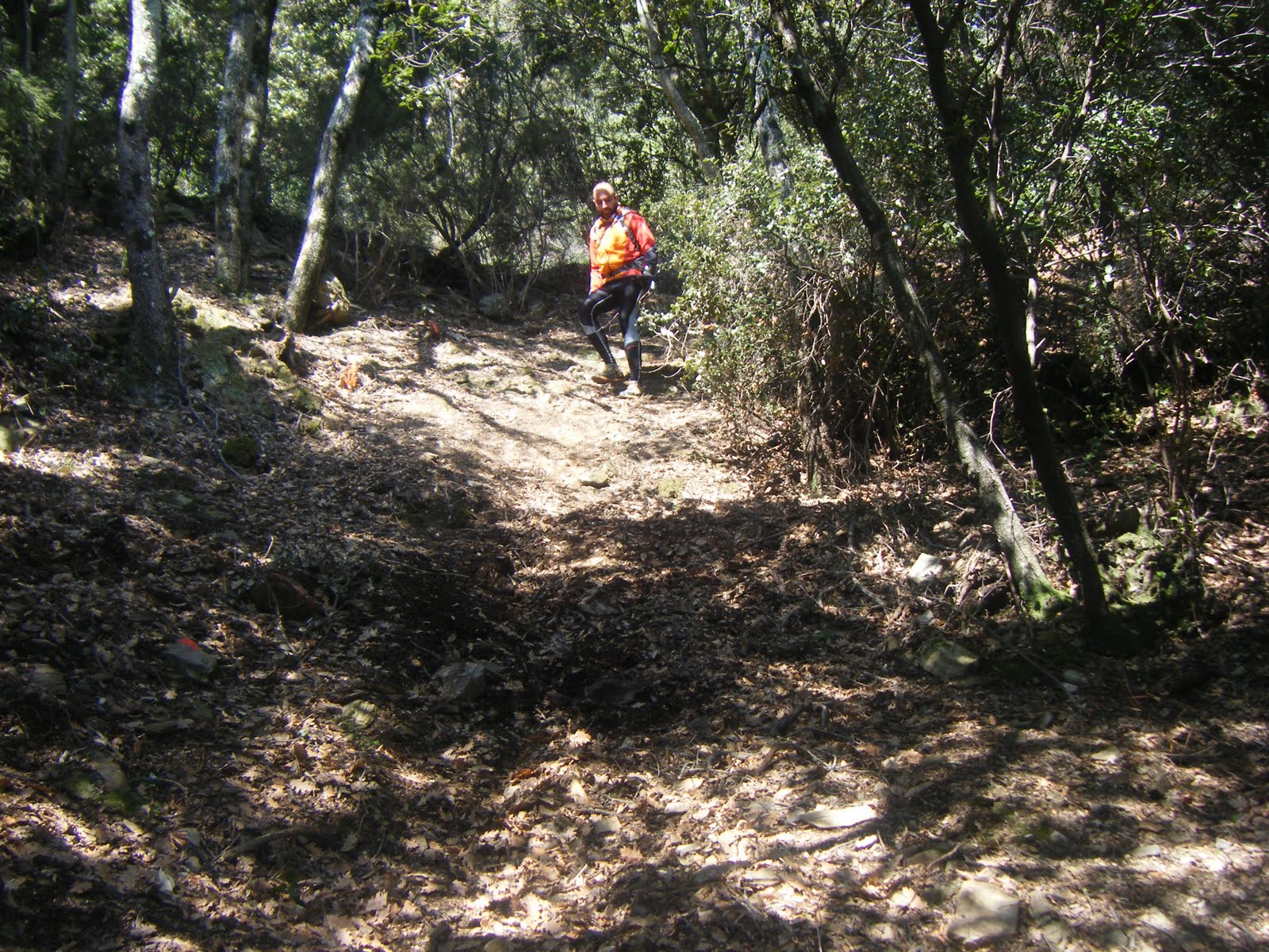 [DSCF3715.jpg]