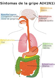 Gráfico de sintomas de la gripe A