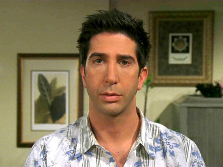 david schwimmer