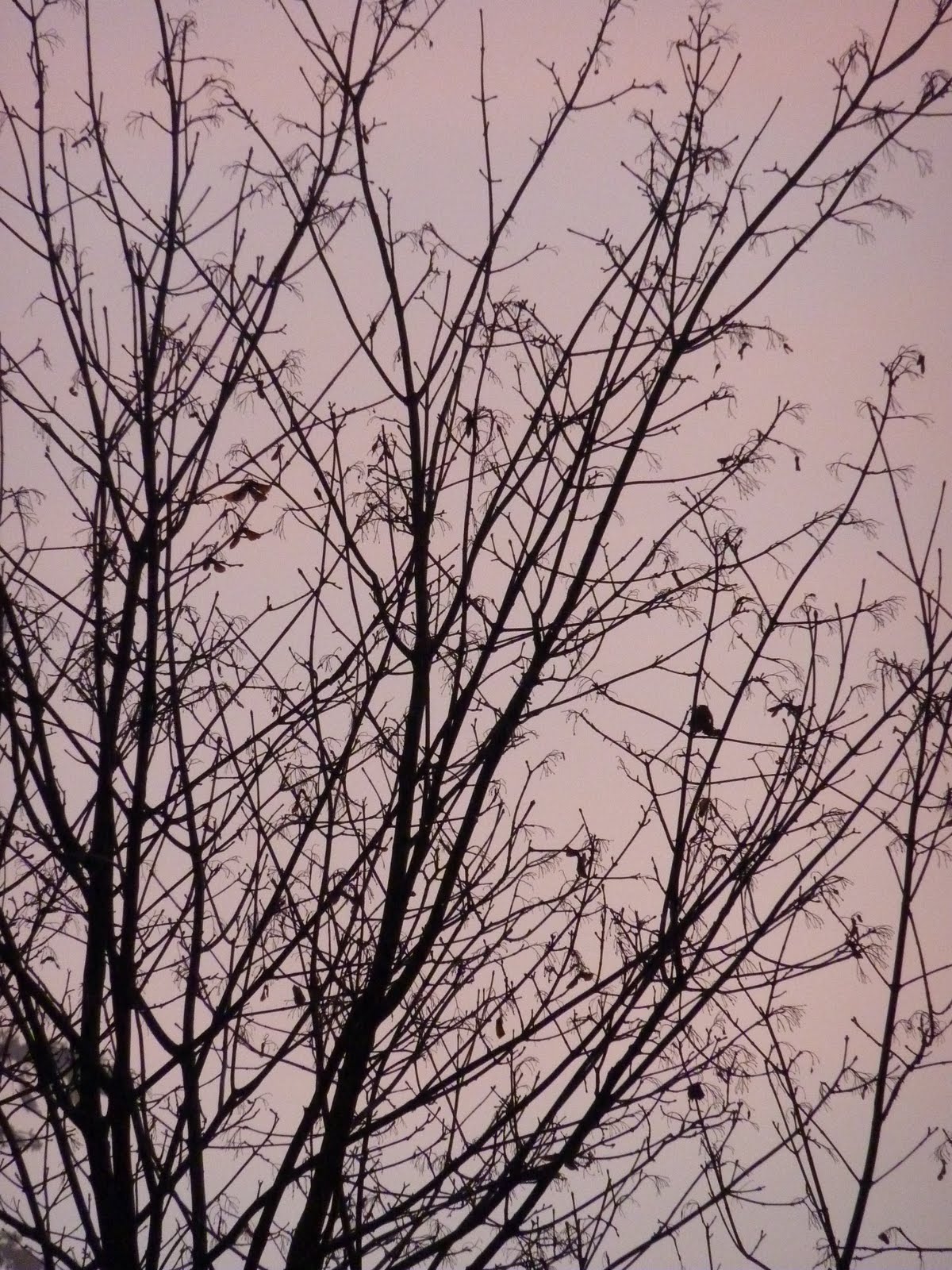 [P1080725.JPG]