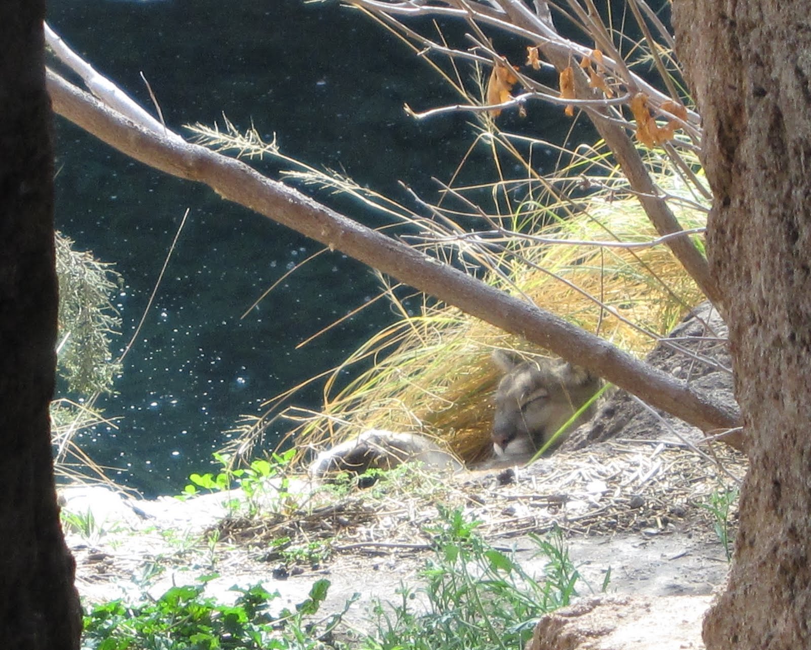 [IMG_4242.jpg]