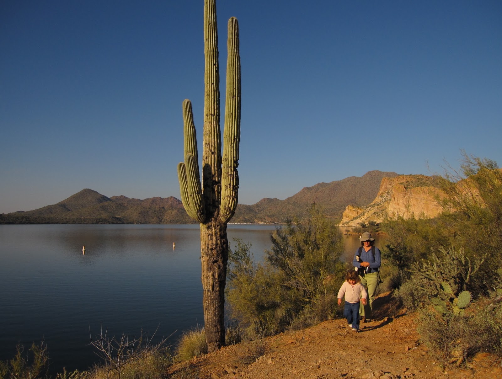 The Hikemasters' Trail Descriptions Butcher Jones Trail, Saguaro Lake