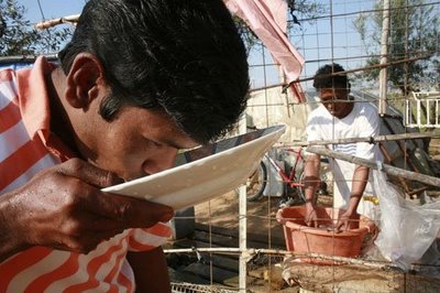 [ΜΑΝΩΛΑΔΑ001.jpg]