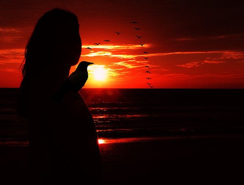 [80452-332282148_4c3b20d18e.jpg]