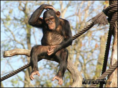 ΔΗΜΟΣΙΟΓΡΑΦΙΚΗ ΑΛΗΤΕΙΑ ΣΤΗΝ ΗΛΕΙΑ