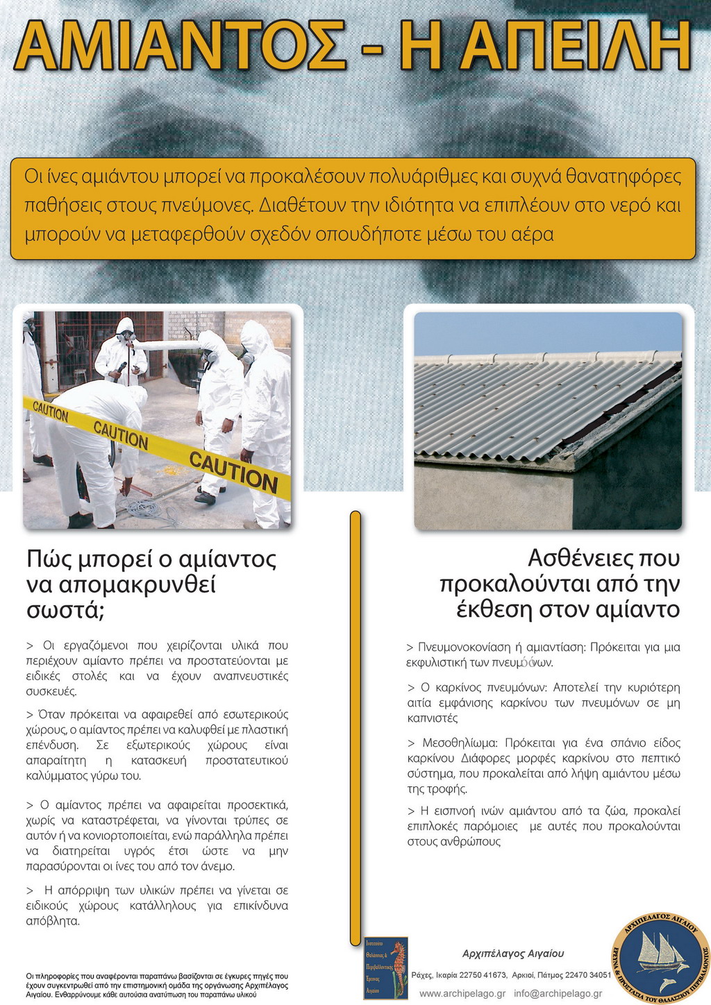 [ΑΜΙΑΝΤΟΣ.jpg]