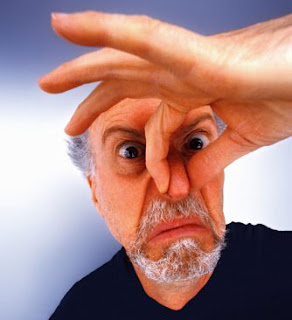 ΜΠΟΧΑ ΑΝΑΔΥΕΤΑΙ ΑΠΟ ΤΟ ΙΛΟΥΣΤΡΑΣΙΟΝ ΒΑΣΙΛΕΙΟ ΤΗΣ ΔΑΝΙΜΑΡΚΙΑΣ