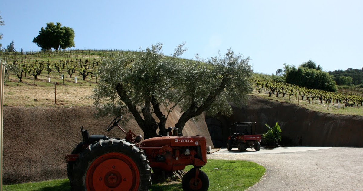 design Bella Vineyards in Sonoma County