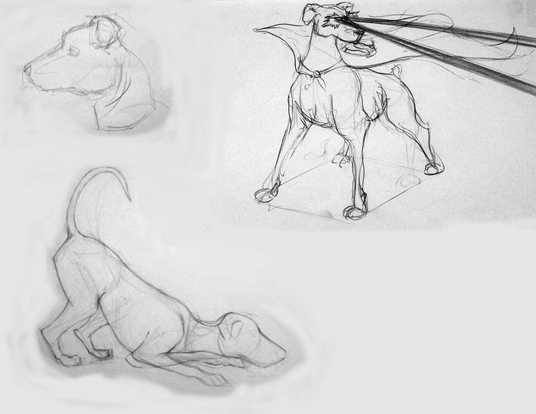 Dog+bone+drawing