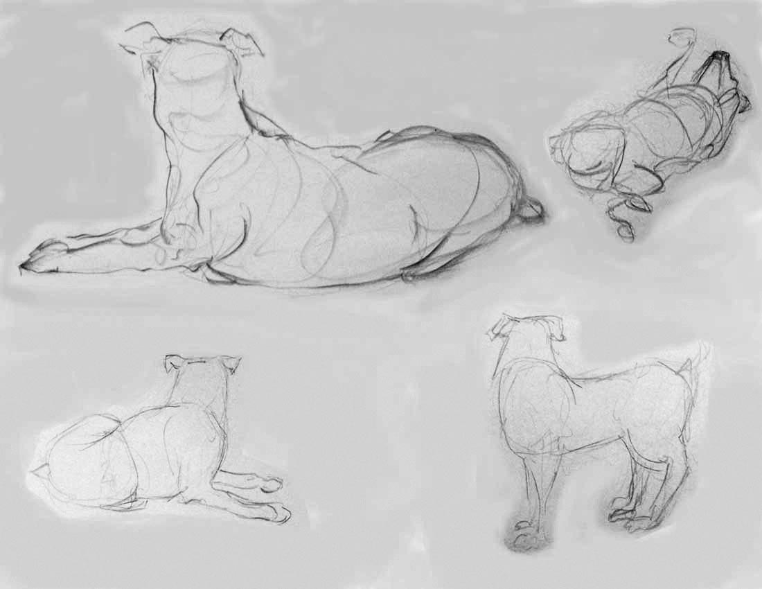Dog+bone+drawing