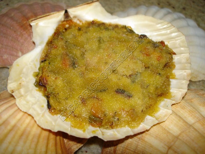 Cascara De Mejillon Como Decoraci Ef Bf Bdn De Interiores Cascara De Mejillon Como Decoraci Ef Bf Bdn De Interiores