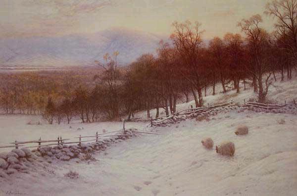 [farquharson-snow-covered-fields-with-sheep.jpg]