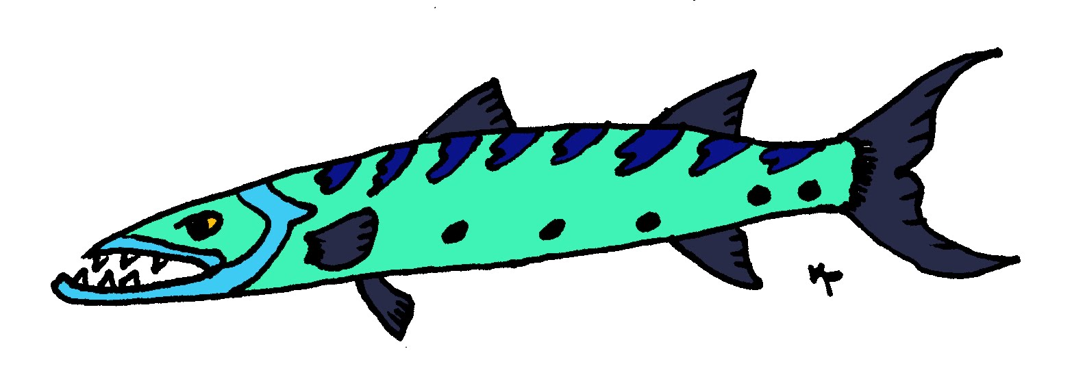 clip art barracuda