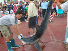 Shark Tournament '06