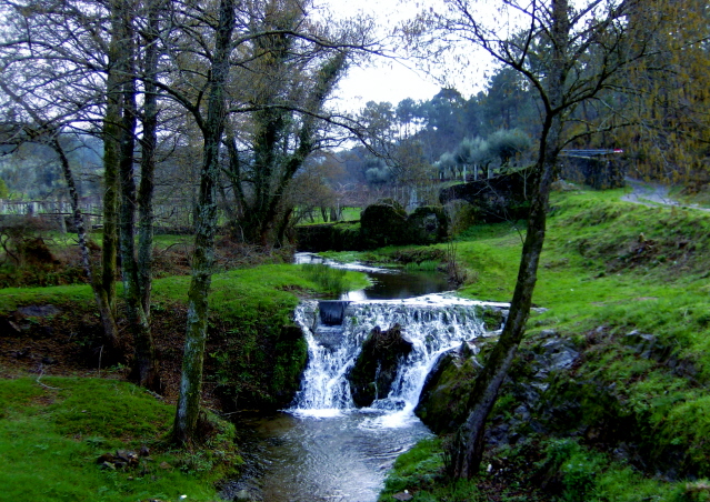 [Lagoa3.jpg]