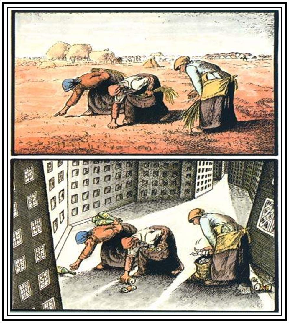 [Picture1.jpg]