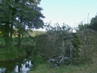 [bicicleta.jpg]