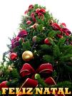 [hh673534283937.jpeg]