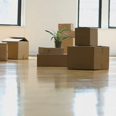 [moving+boxes]
