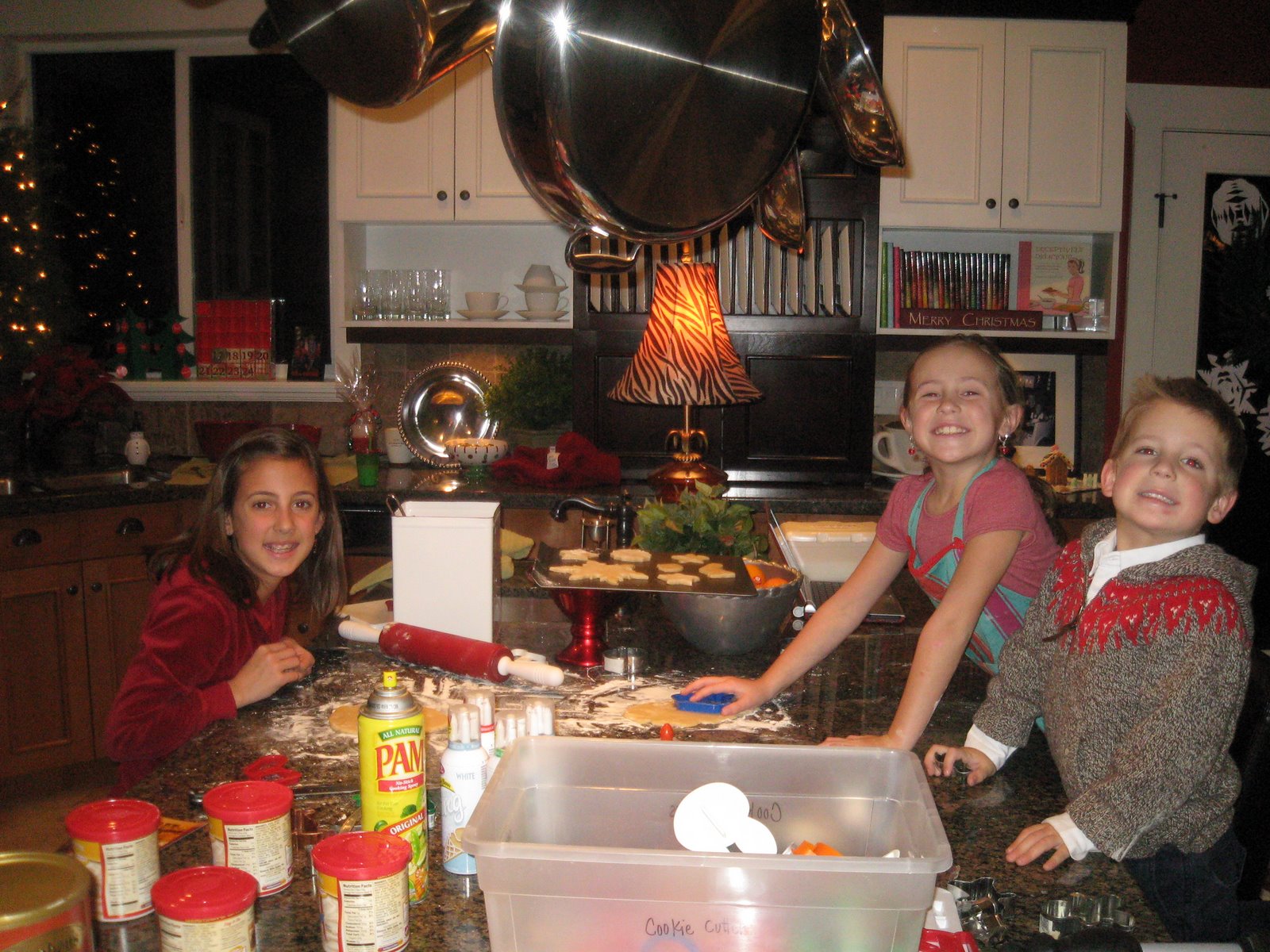 [Dec.+16,+2007+048.jpg]
