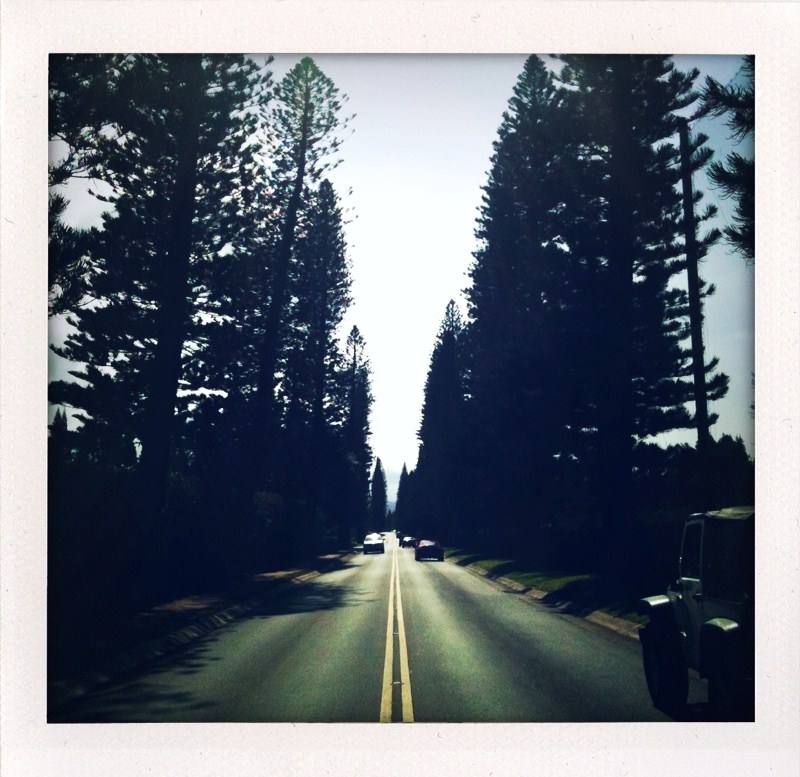 [polaroid+maui+six.jpg]
