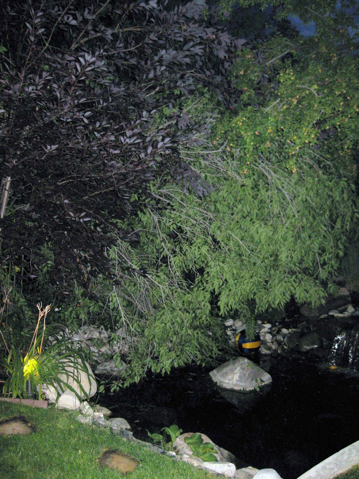 [tree-down-1.jpg]