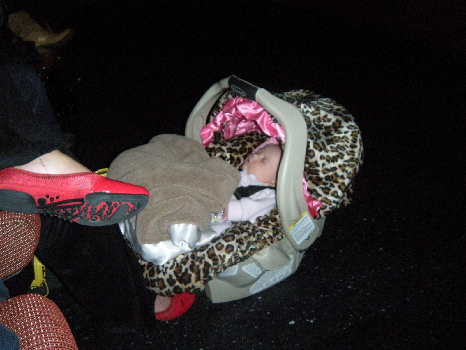[bunco+and+twilight+002.JPG]