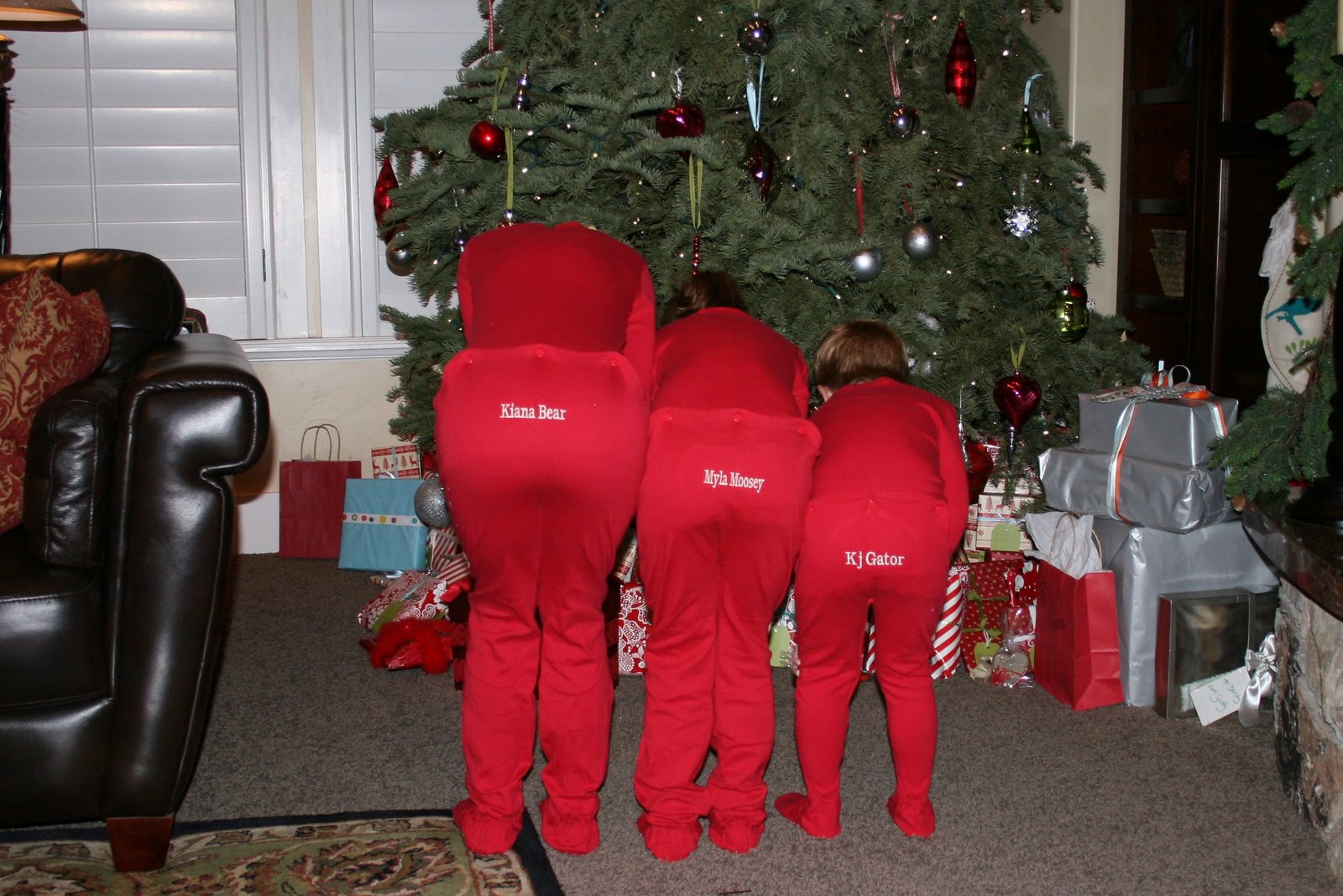 [christmas+2008+033.JPG]