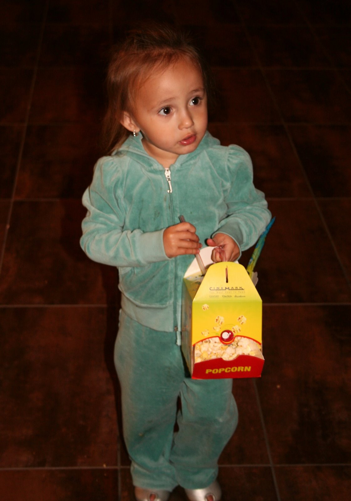 [christmas+2008+101.JPG]