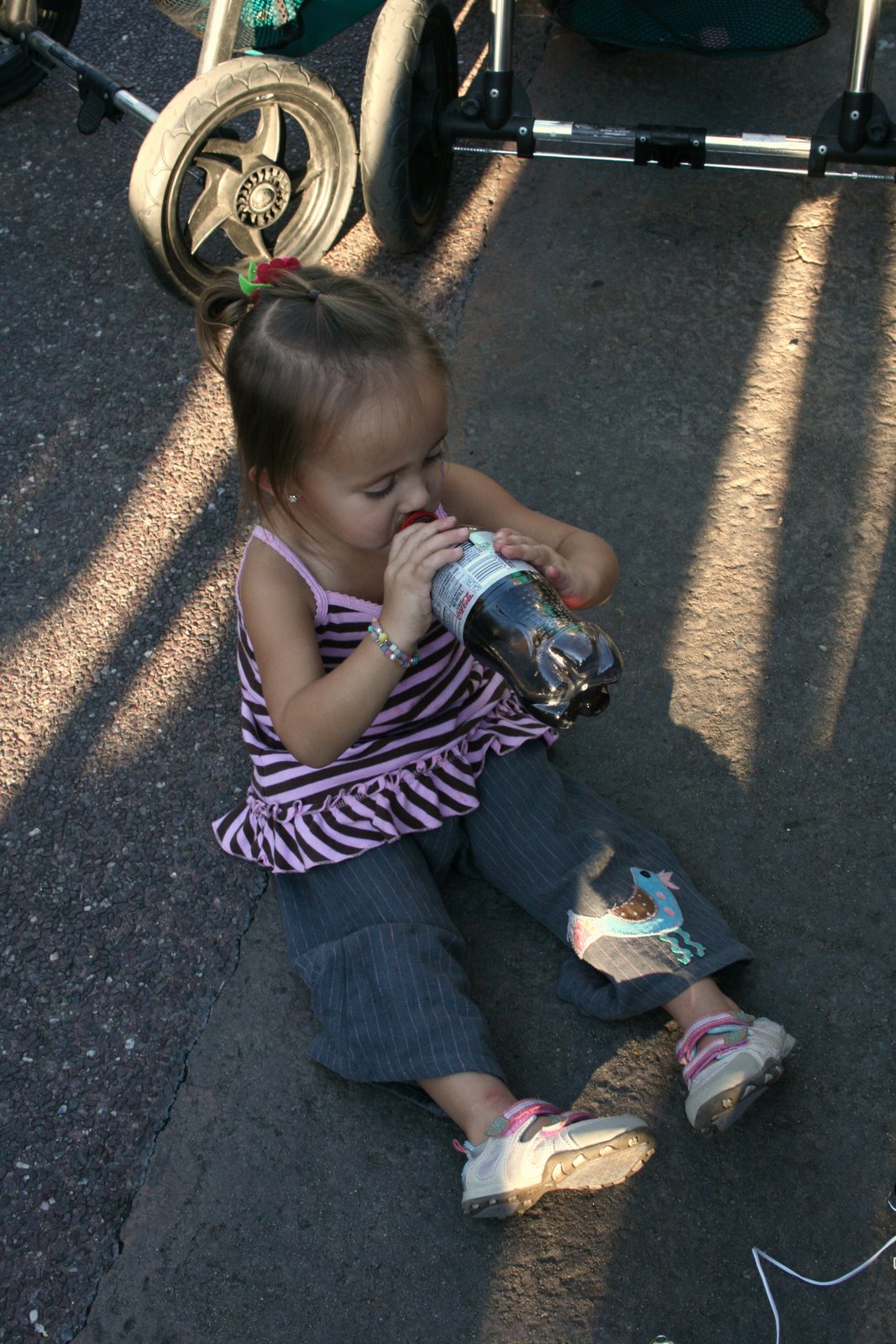 [Disneyland+and+Mazatlan+Jan.+15-25,+2009+110.JPG]